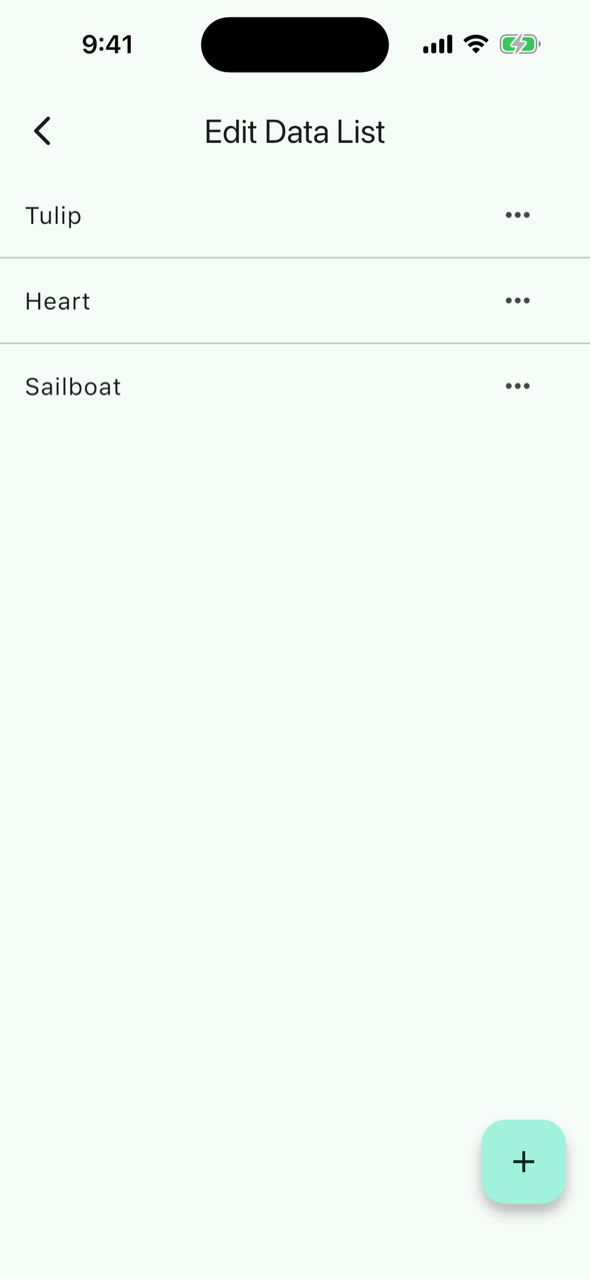 Edit data list with puzzle names and a + button at the bottom right